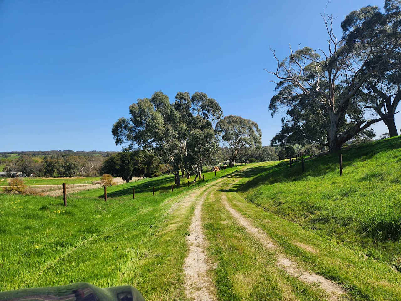 Gravel driveway back down the hill 