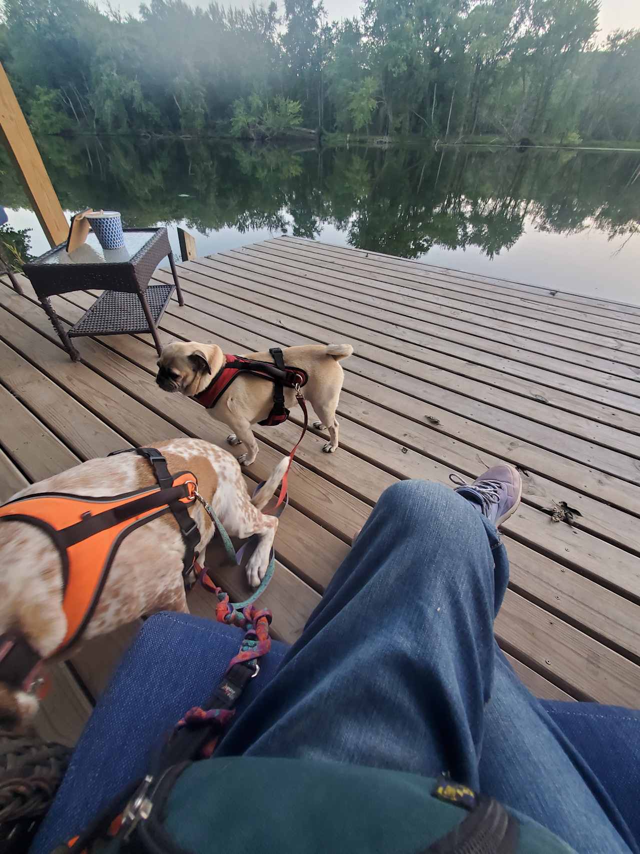 Relaxing on the deck at the beach. 