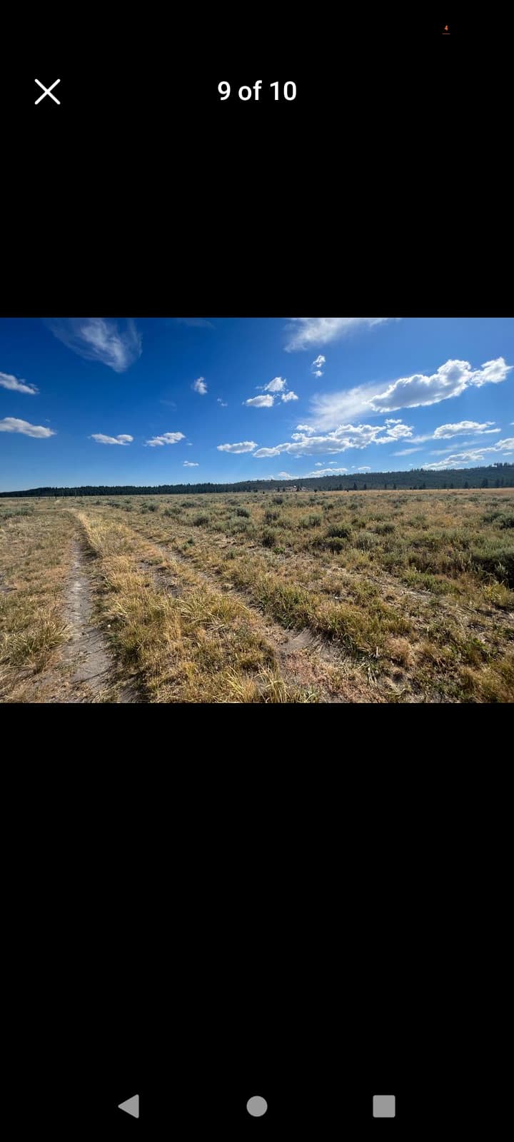 OFF ROAD DRIVING 