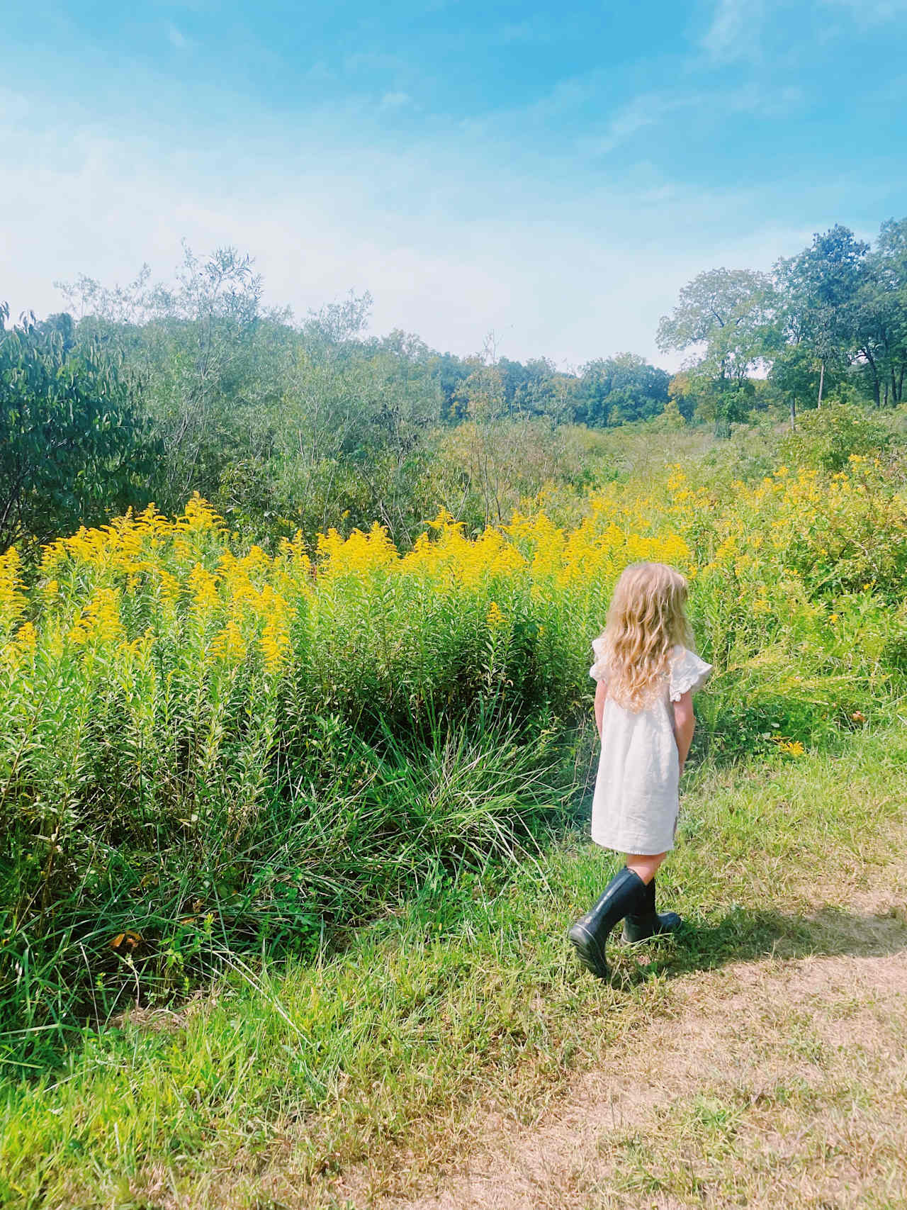 Wildflower Camp, Hike + Swim