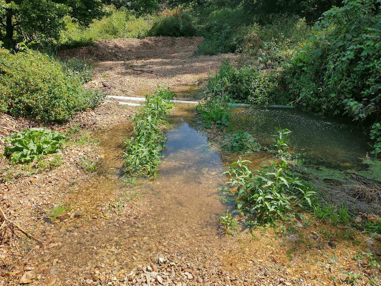 Got lots of rain last night. 