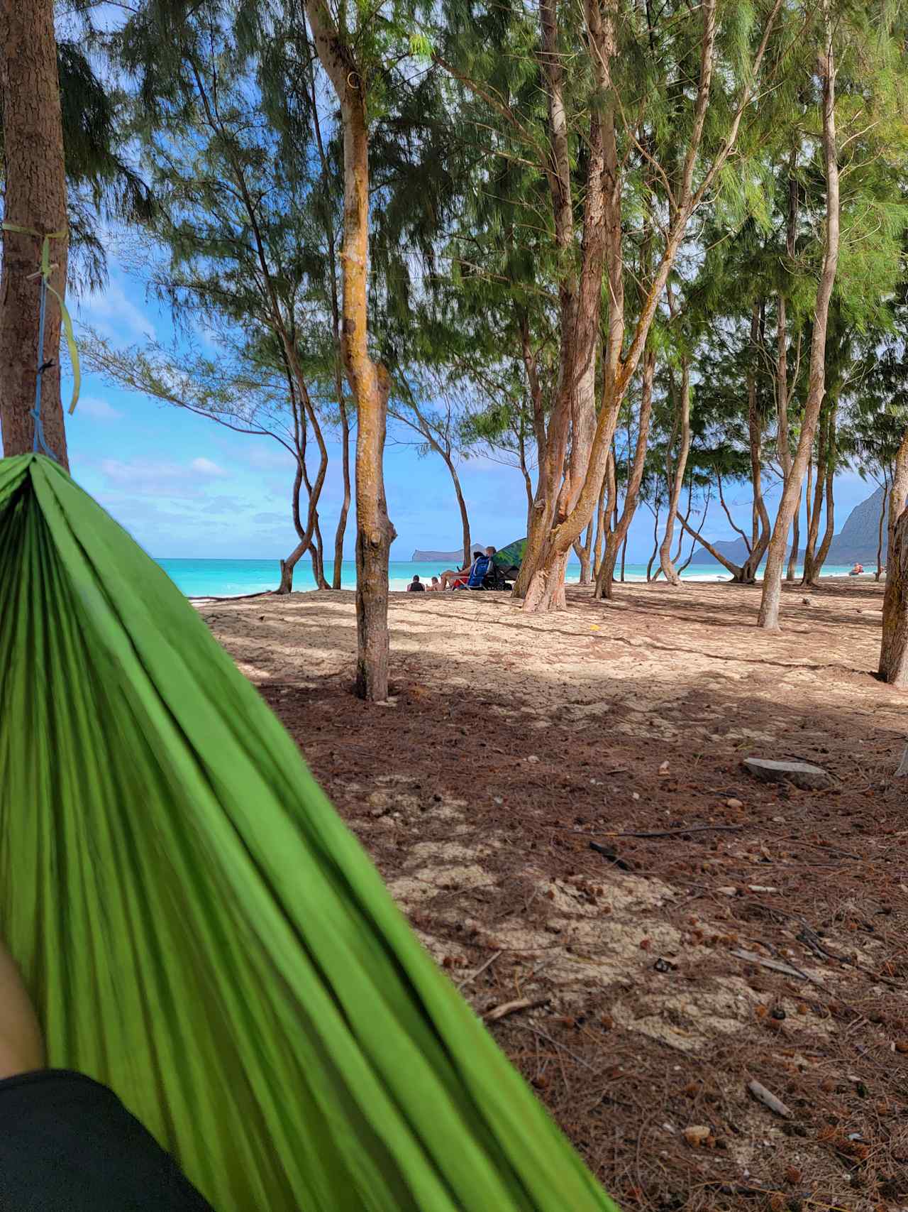 Waimanalo Farmstay