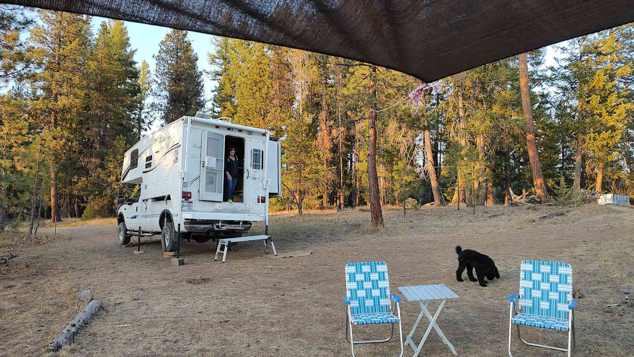 Home for a night with 3 bugling bull elk and our double doodle.