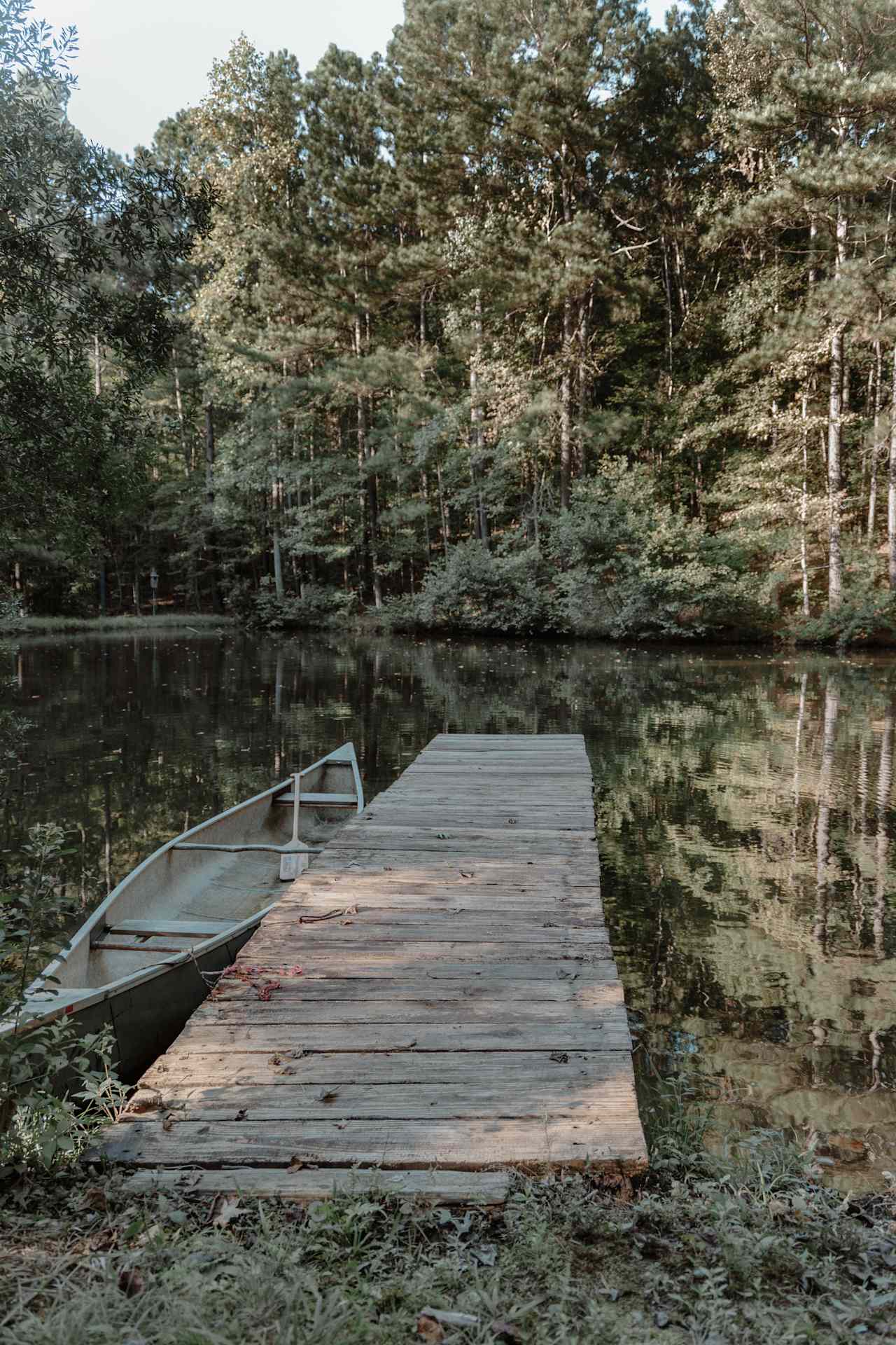 Dock, Canoe and spring fed pond for swimming, fishing or canoeing 