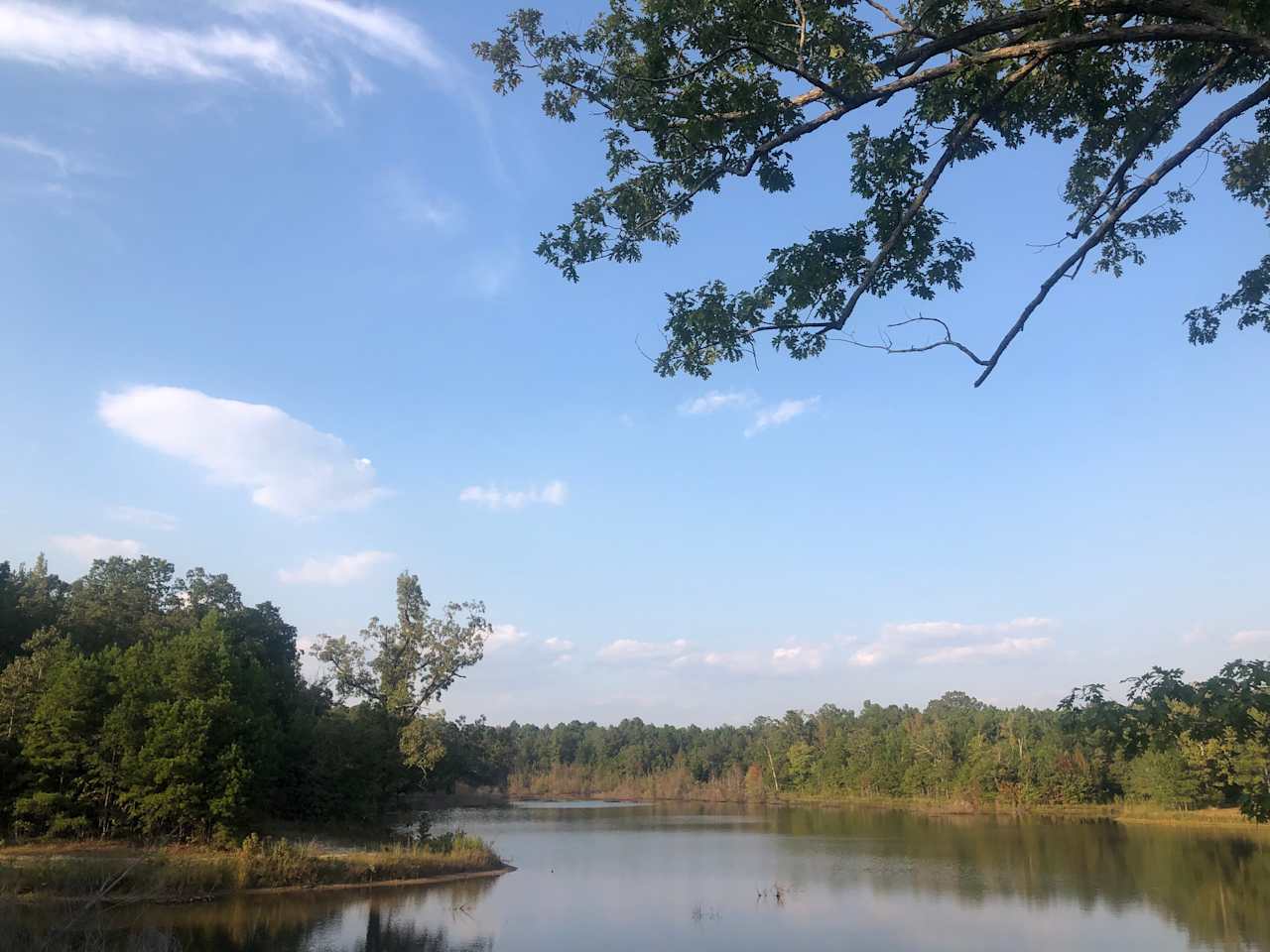 Savannah Lake Cabin