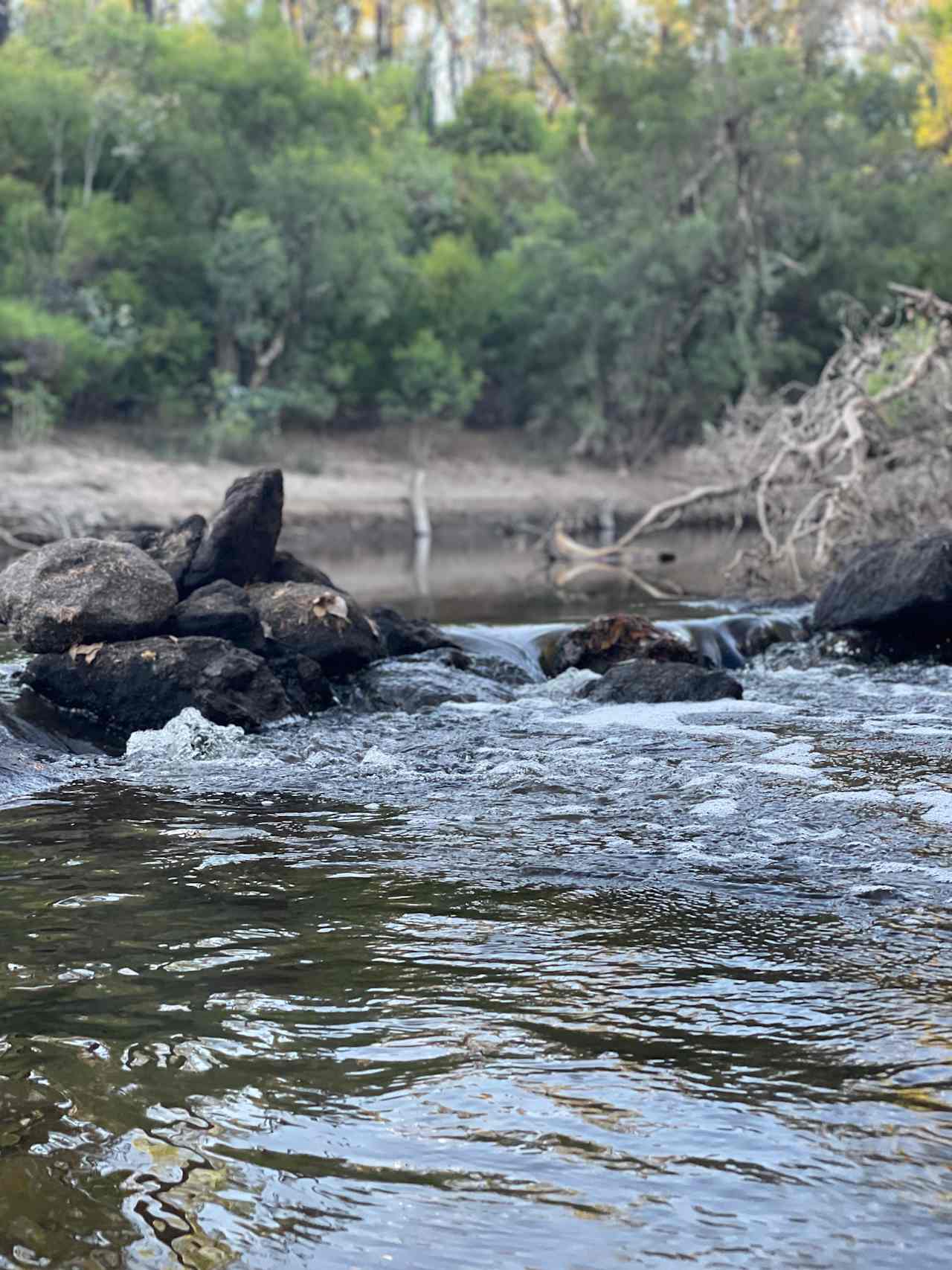 Murray Valley Camping