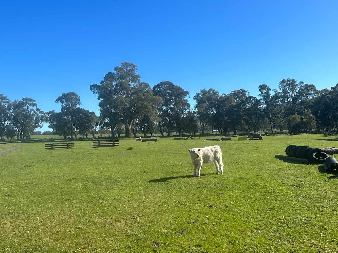 Euroa Horse Park