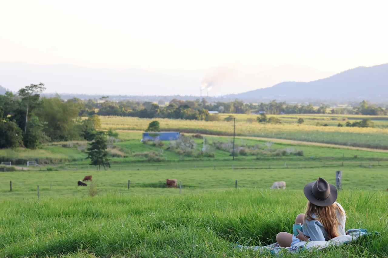 On the fields 
📷 @the.galapagos.life