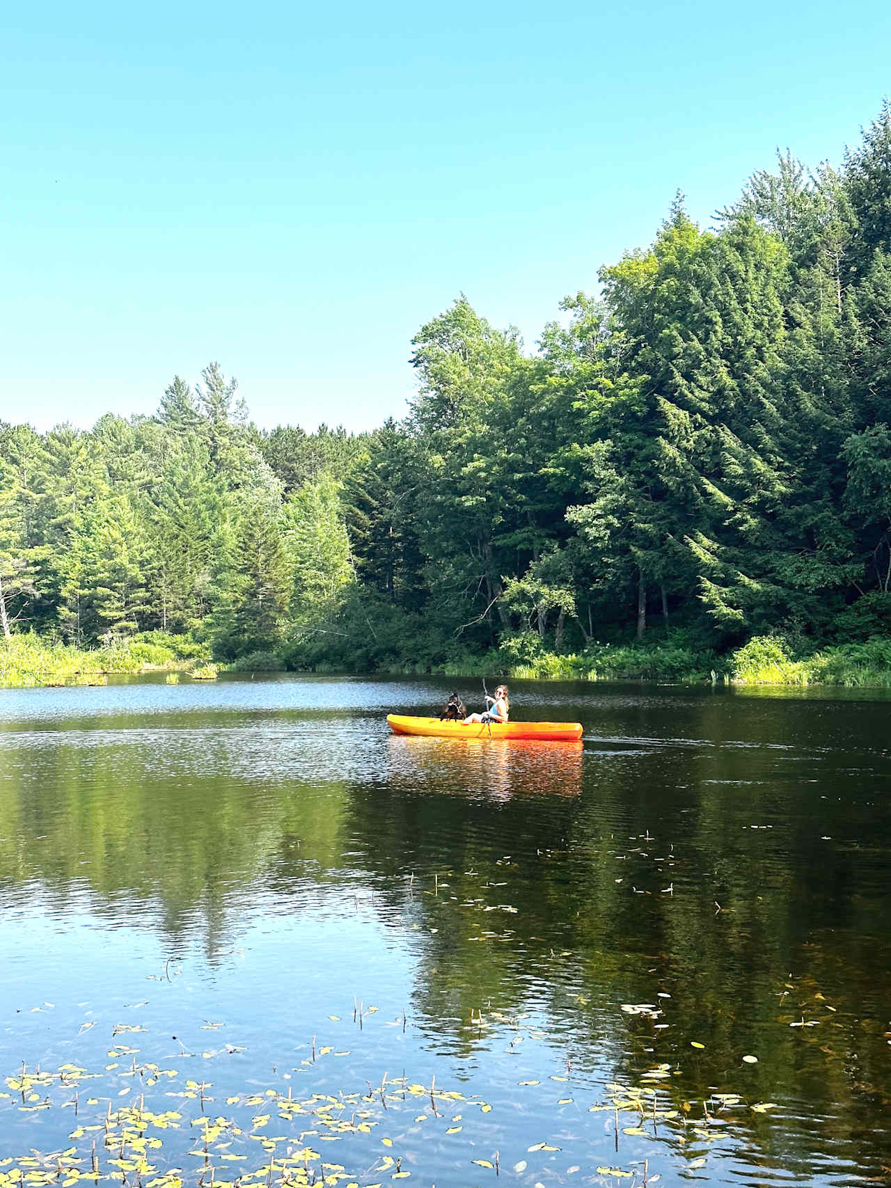 The Grasse River Cabins