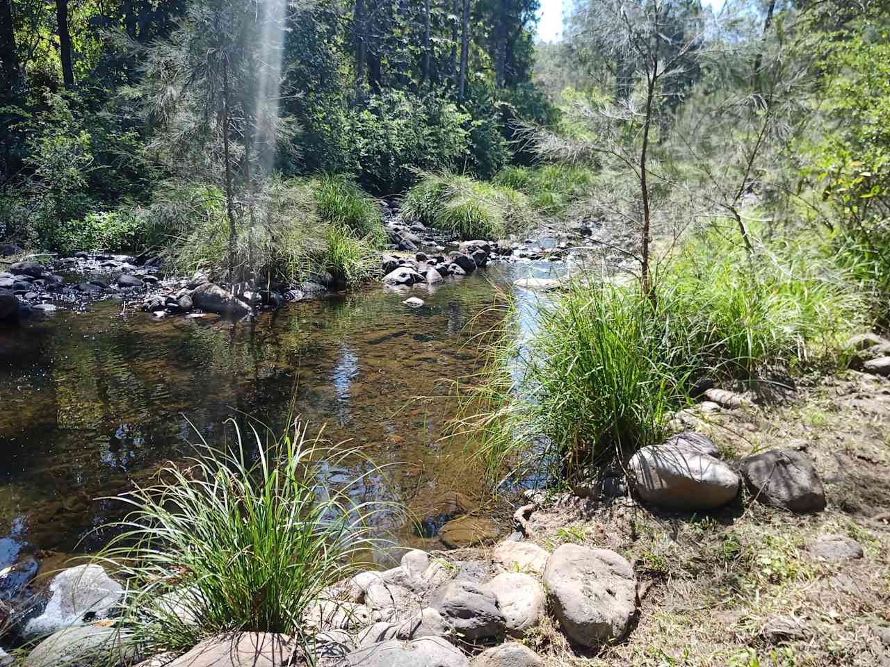 Warrazambil Creek Camp