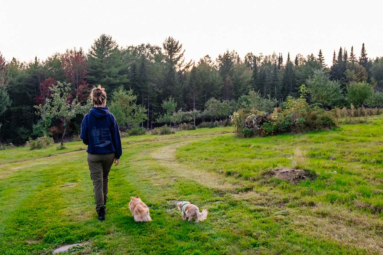 Walking through the property