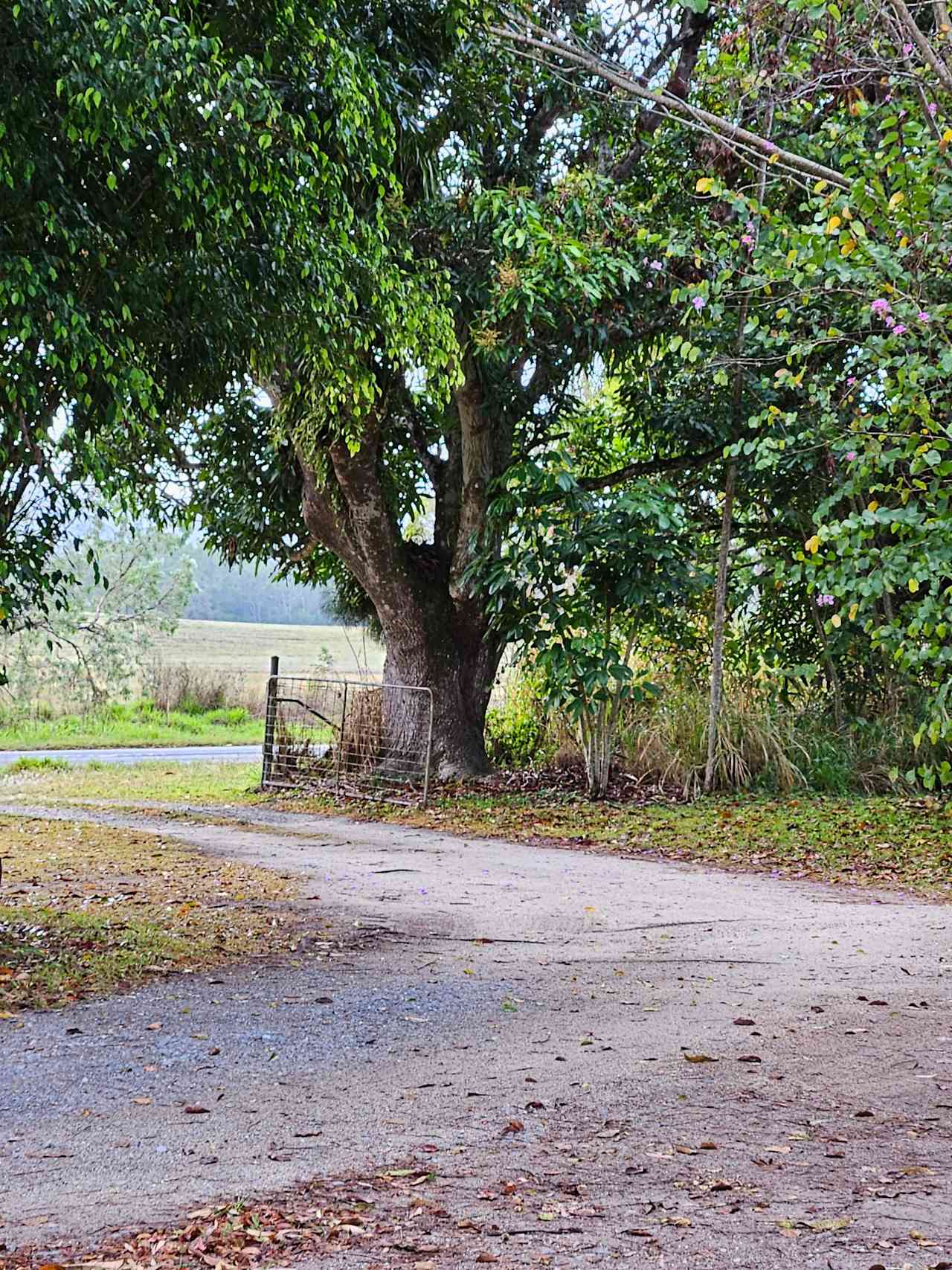 Rural Retreat