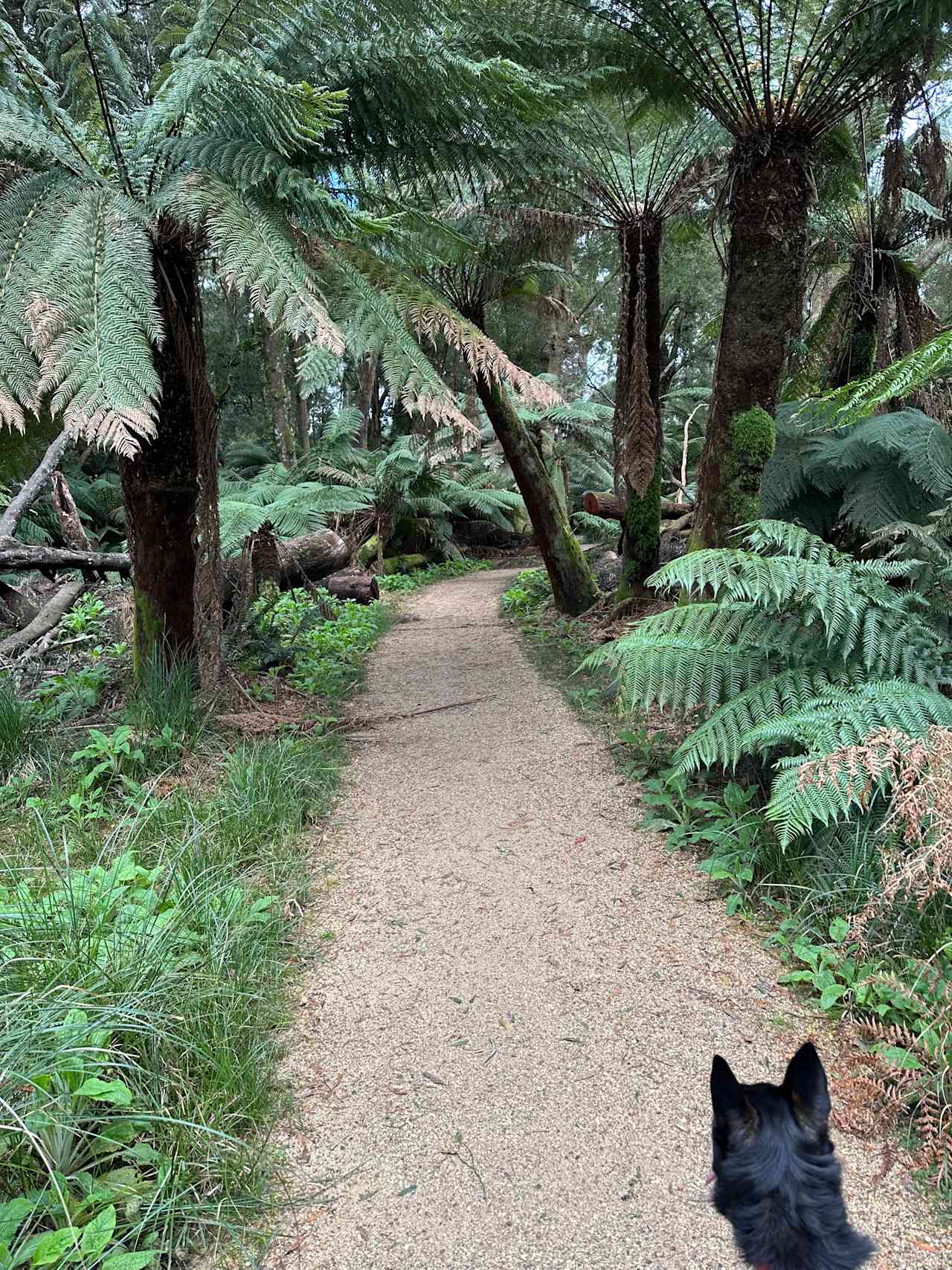 Near Derby mountain bike tracks