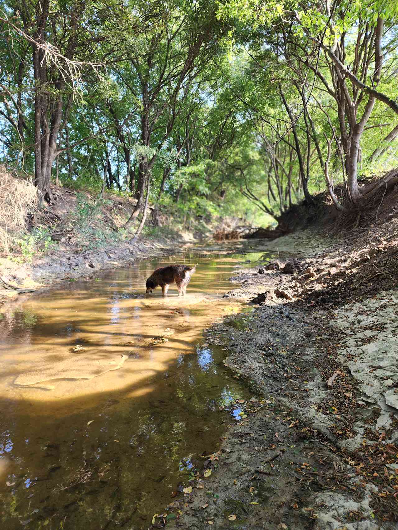 The PARK at Brushy Creek