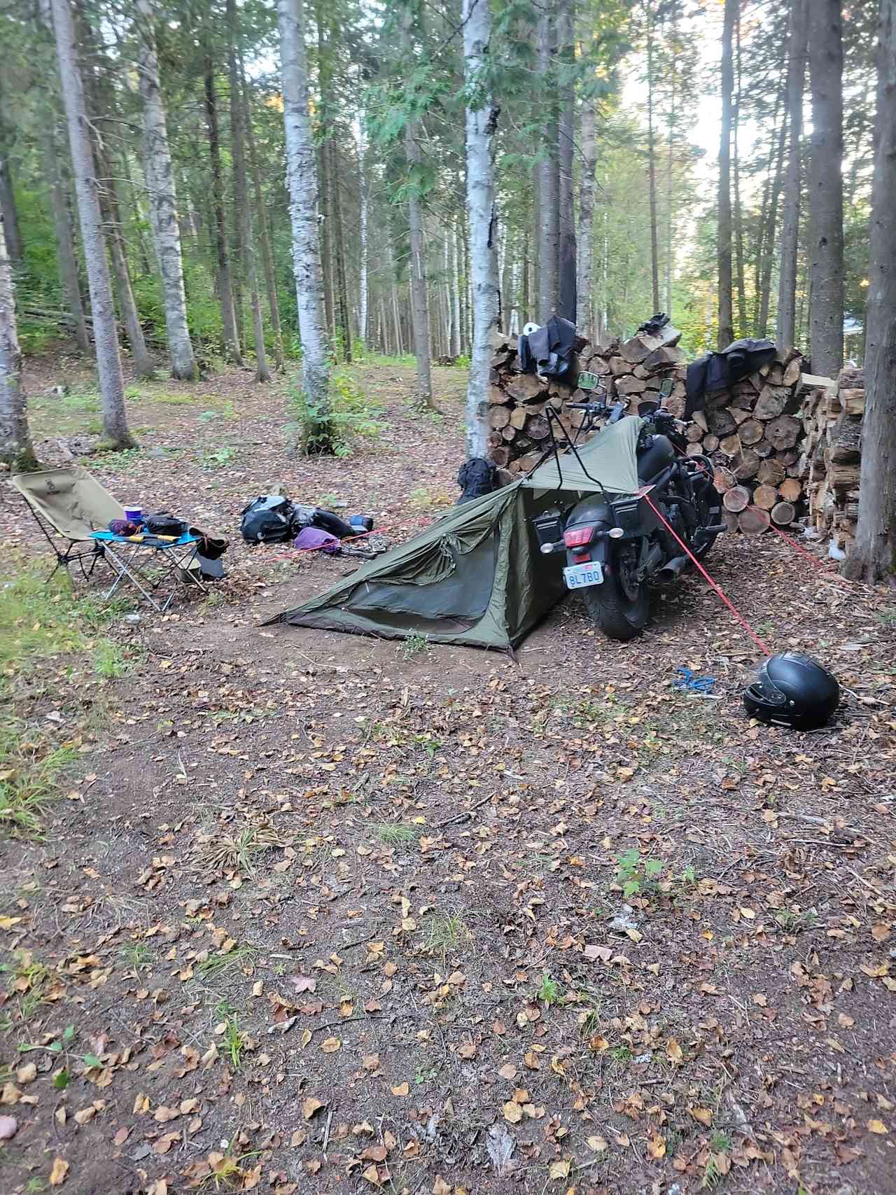 Forest with Trails -Lots of Privacy