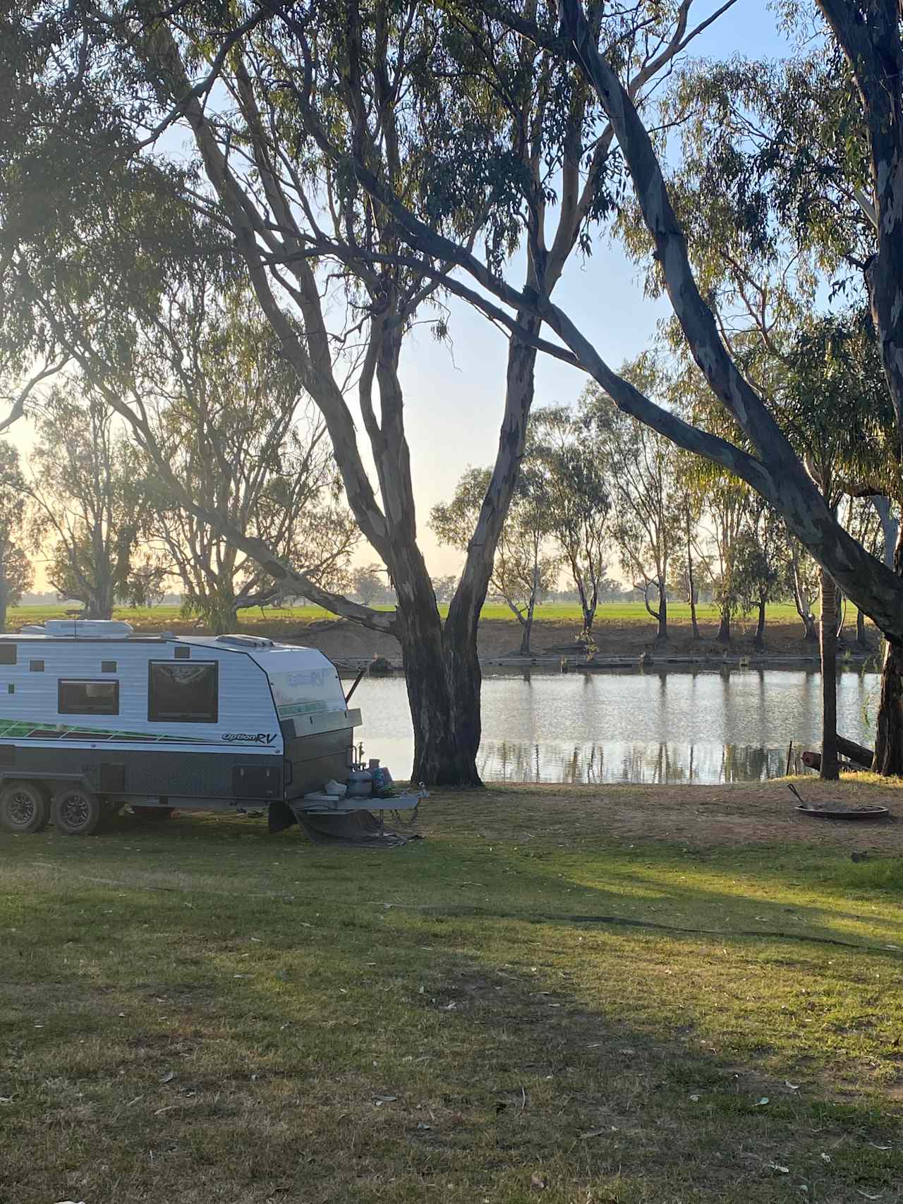 Cudgella on Bundidgerry Creek