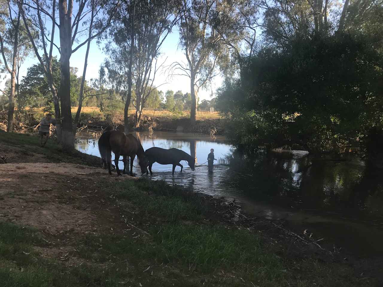 Billabong Flats Farm