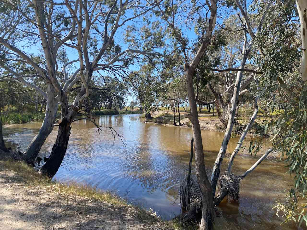 Beautiful river in walking distance 