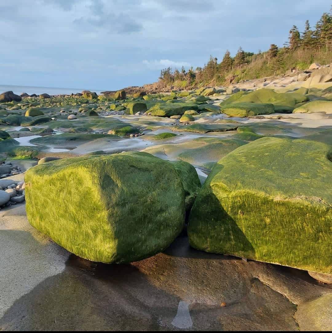 Fundy Fantasy Oceanfront Cabin