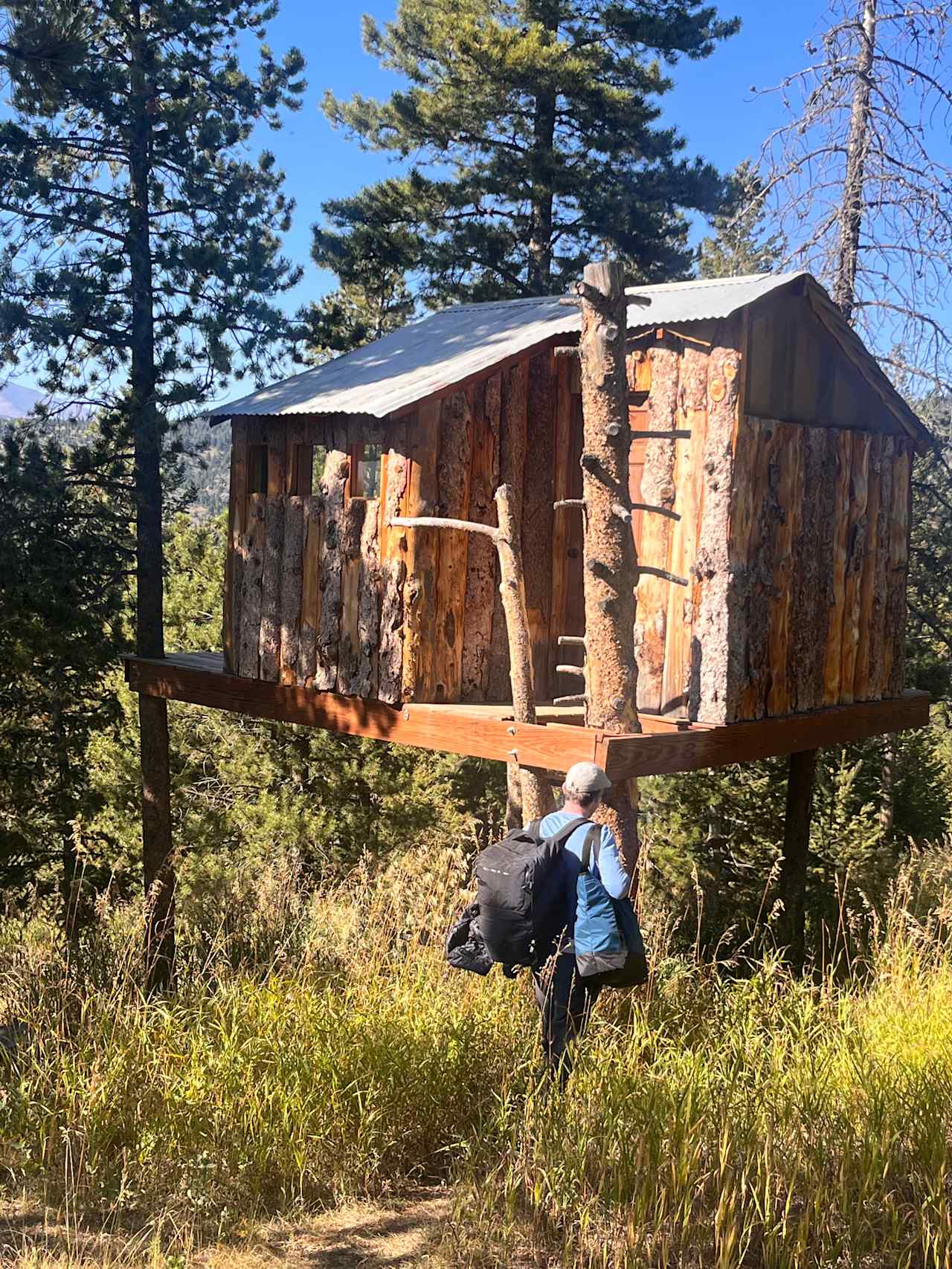 Gold Nugget Tree House