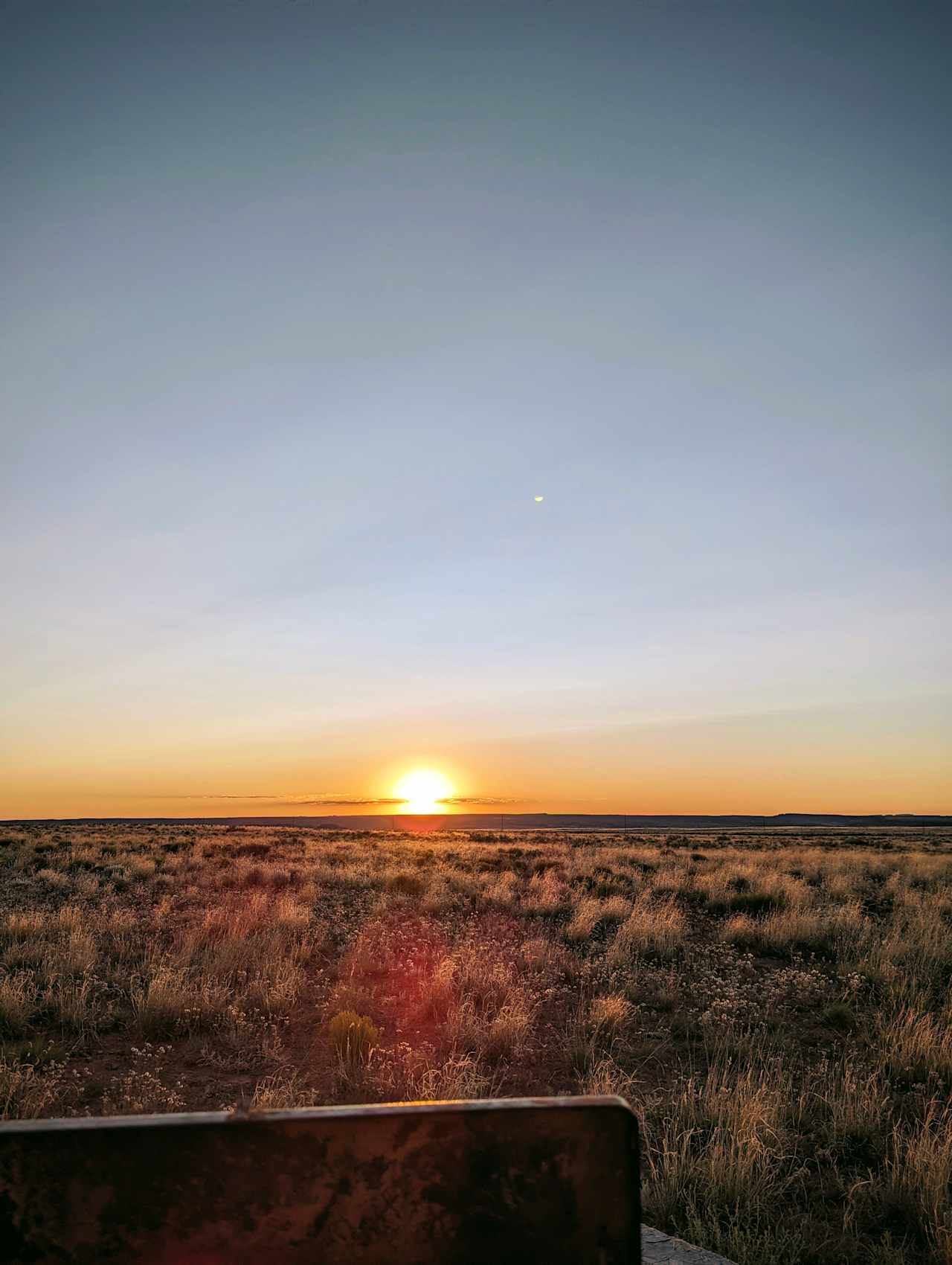 The Petrified Forest Ranch