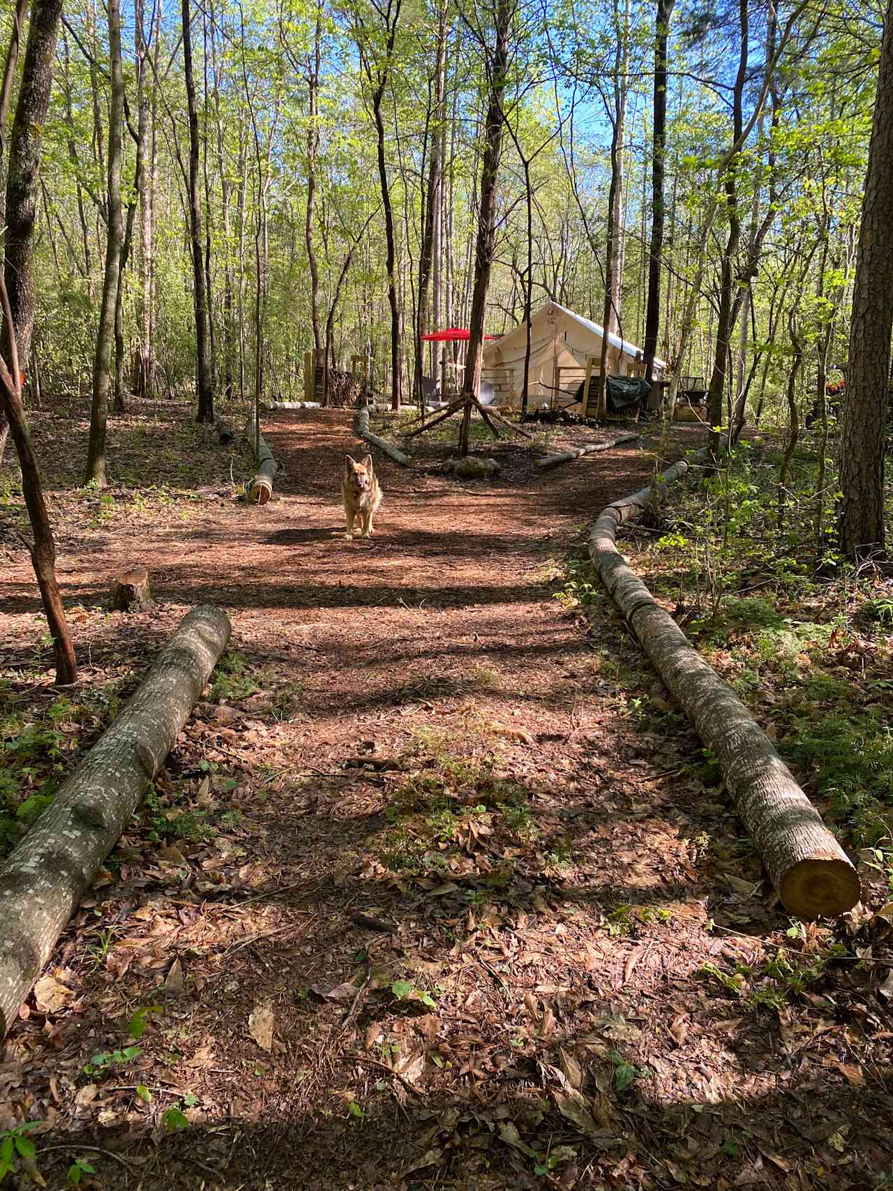 trail to the lake about 250 feet