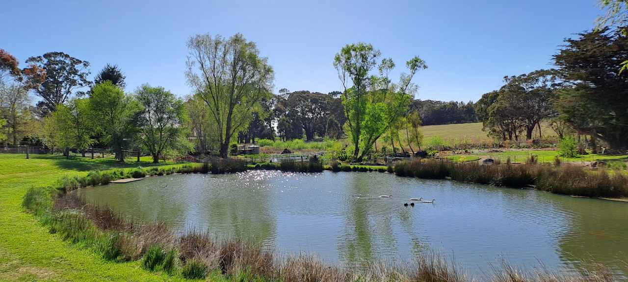 Lakeside or Orchard Paddock Camping