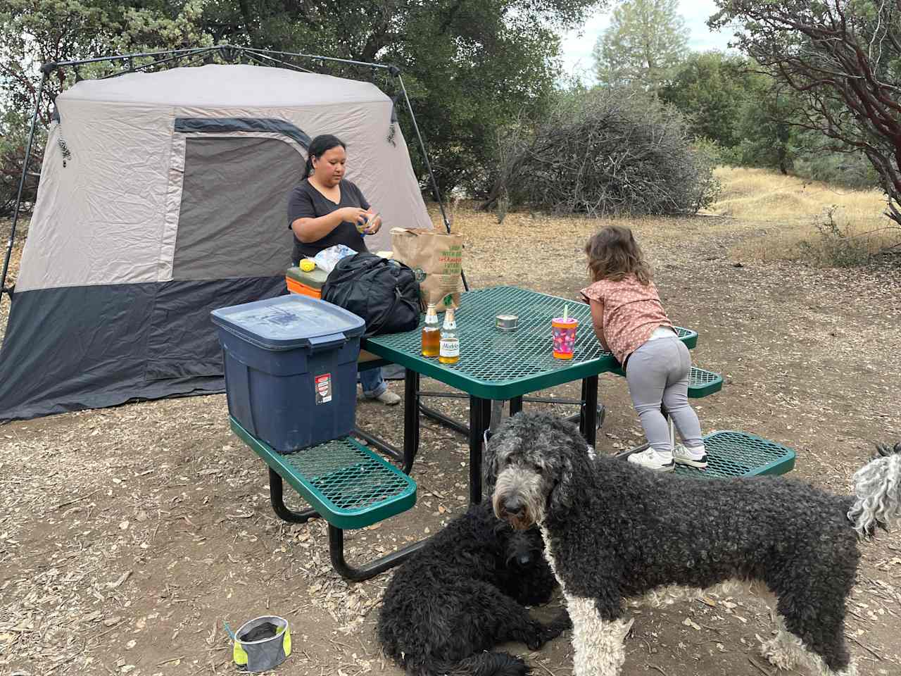 Red Tail Ranch at Yosemite