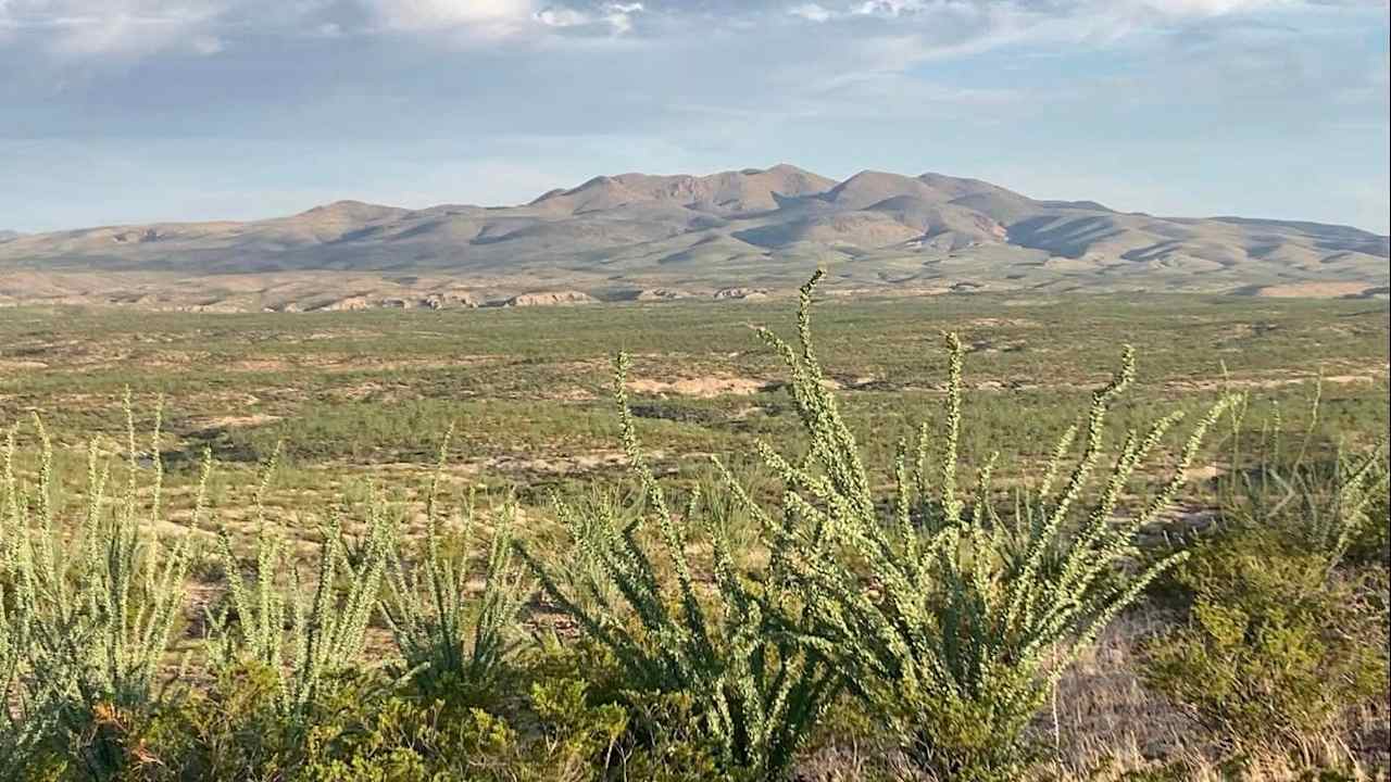 View from Cienega Camp 1.