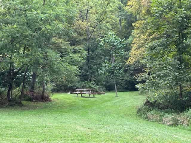 Picnic table for meals.