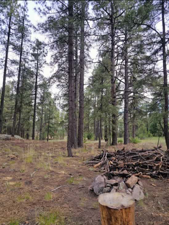 Firewood on site.