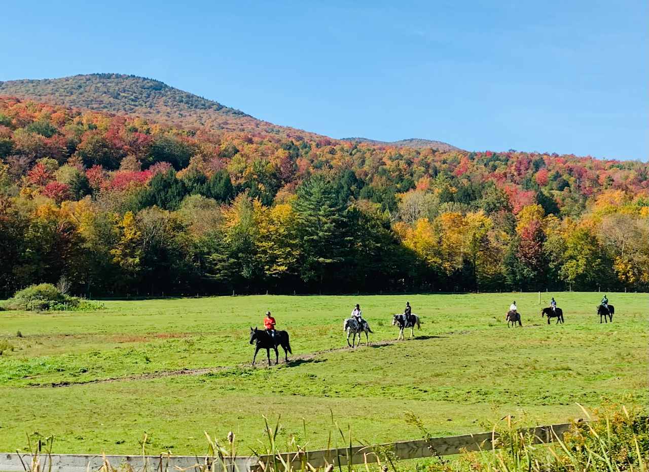 Mountain Creek Horse Farm