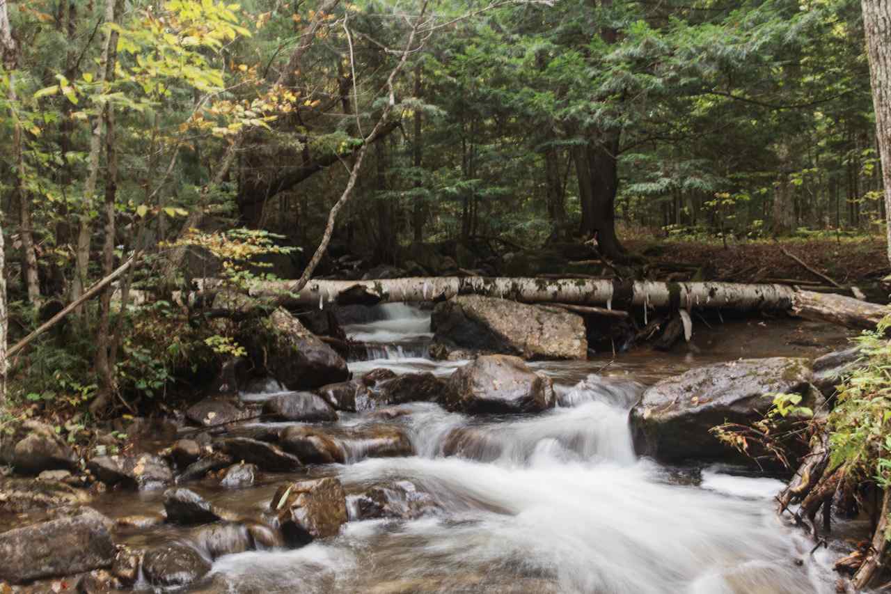 Willoughby Lake Waterfalls