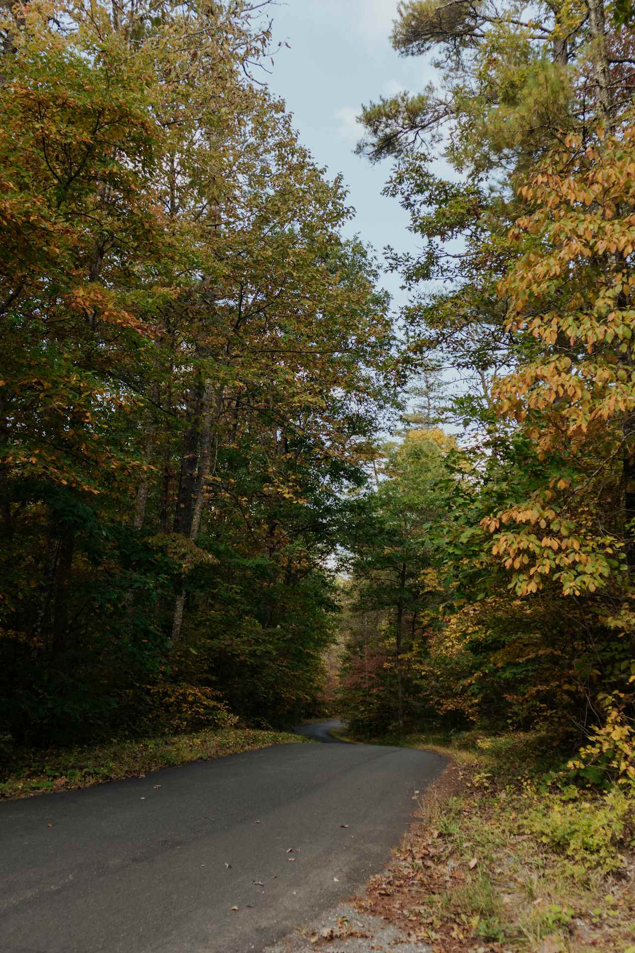 View of the street before you enter the gate to drive up to the campsite.