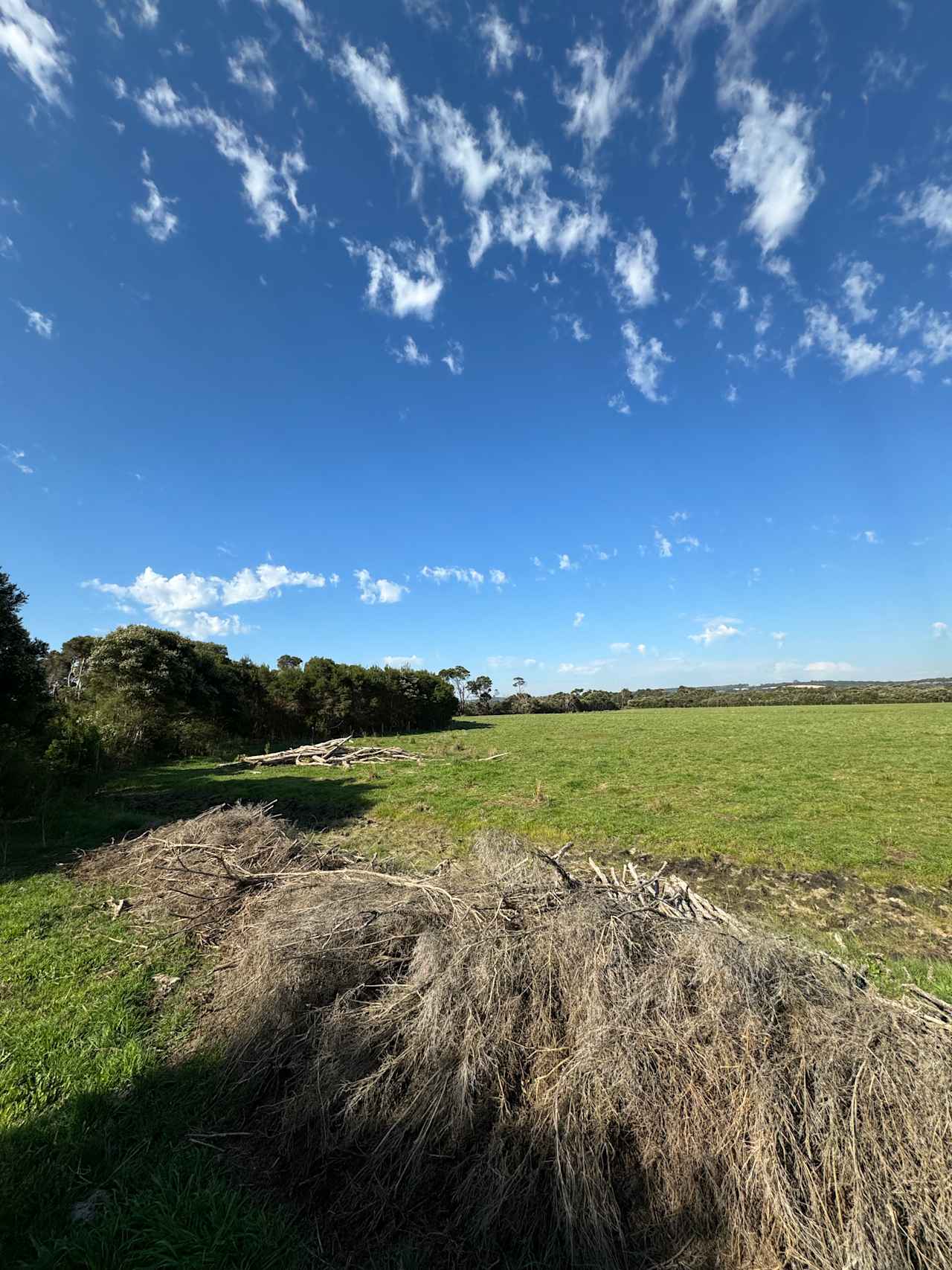 Tea Tree Paddock