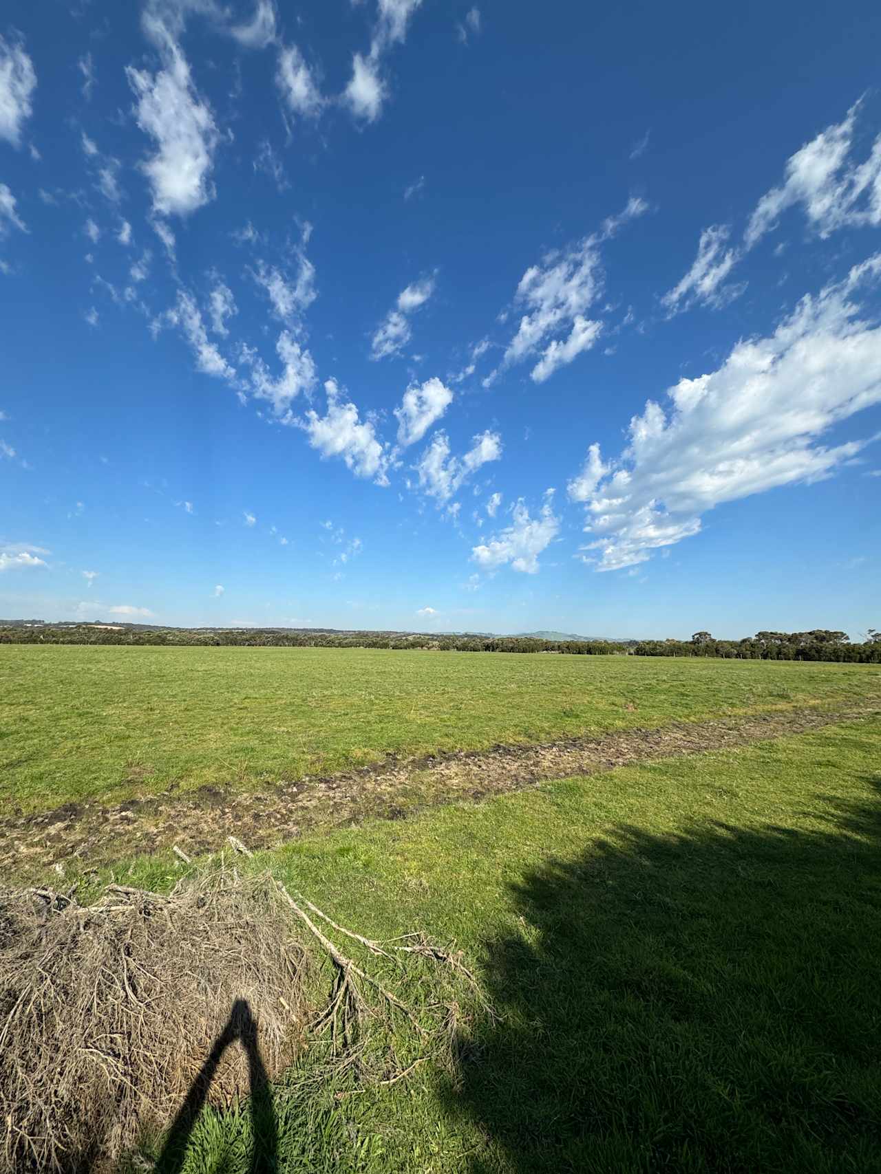 Tea Tree Paddock