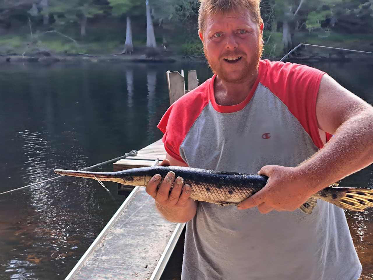 Gar caught on fishing dock 