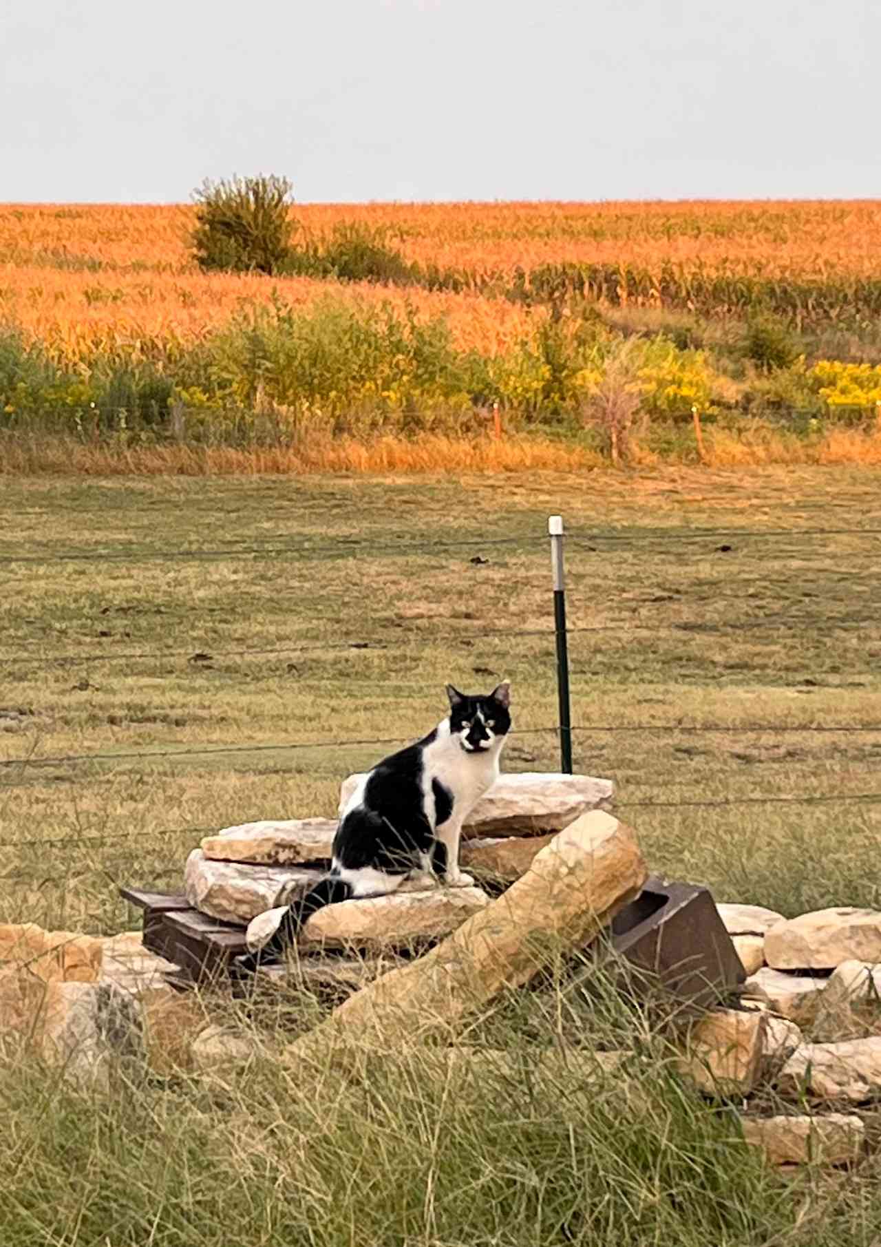 Rusty Nickel Ranch RV