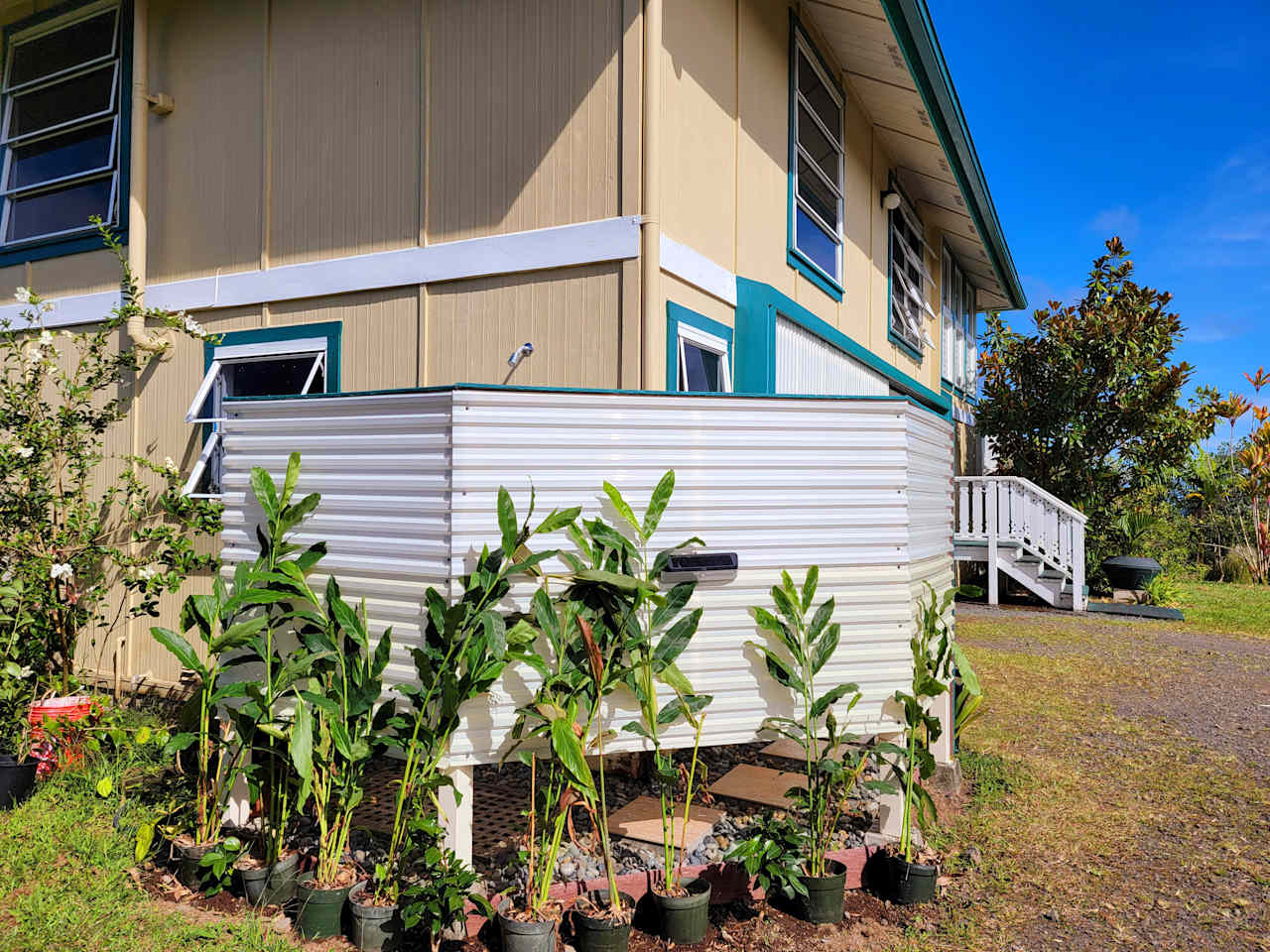 IO's NEST LOOKOUT on the Hamakua