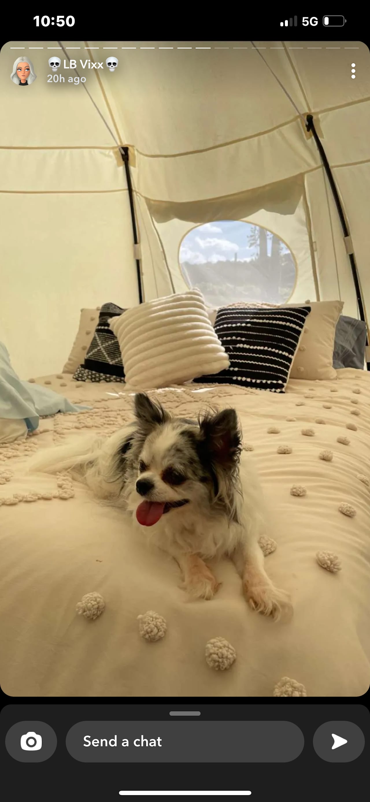 R & R Glamping