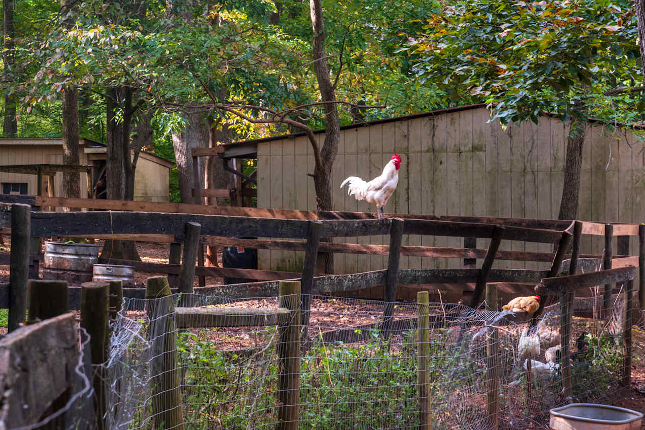 Lovers Lane Farm Stay