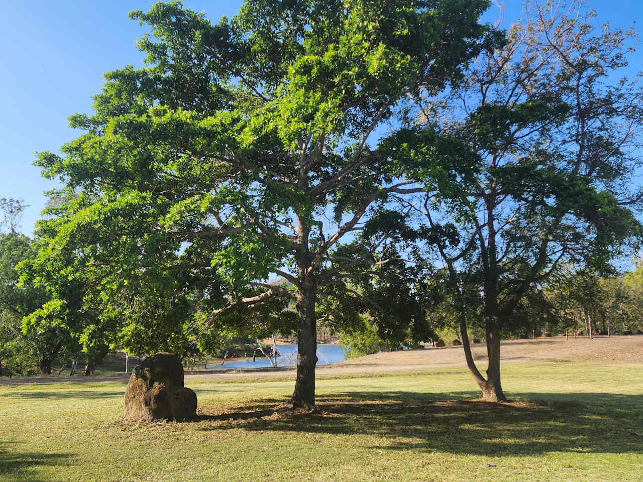 Lakeland Downs Camping