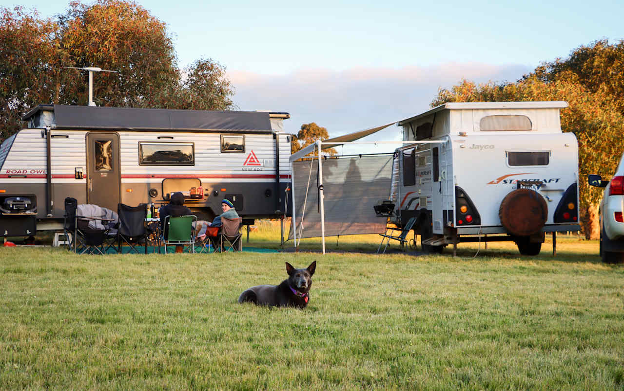 Open, grassy campsite where pets are very welcome!