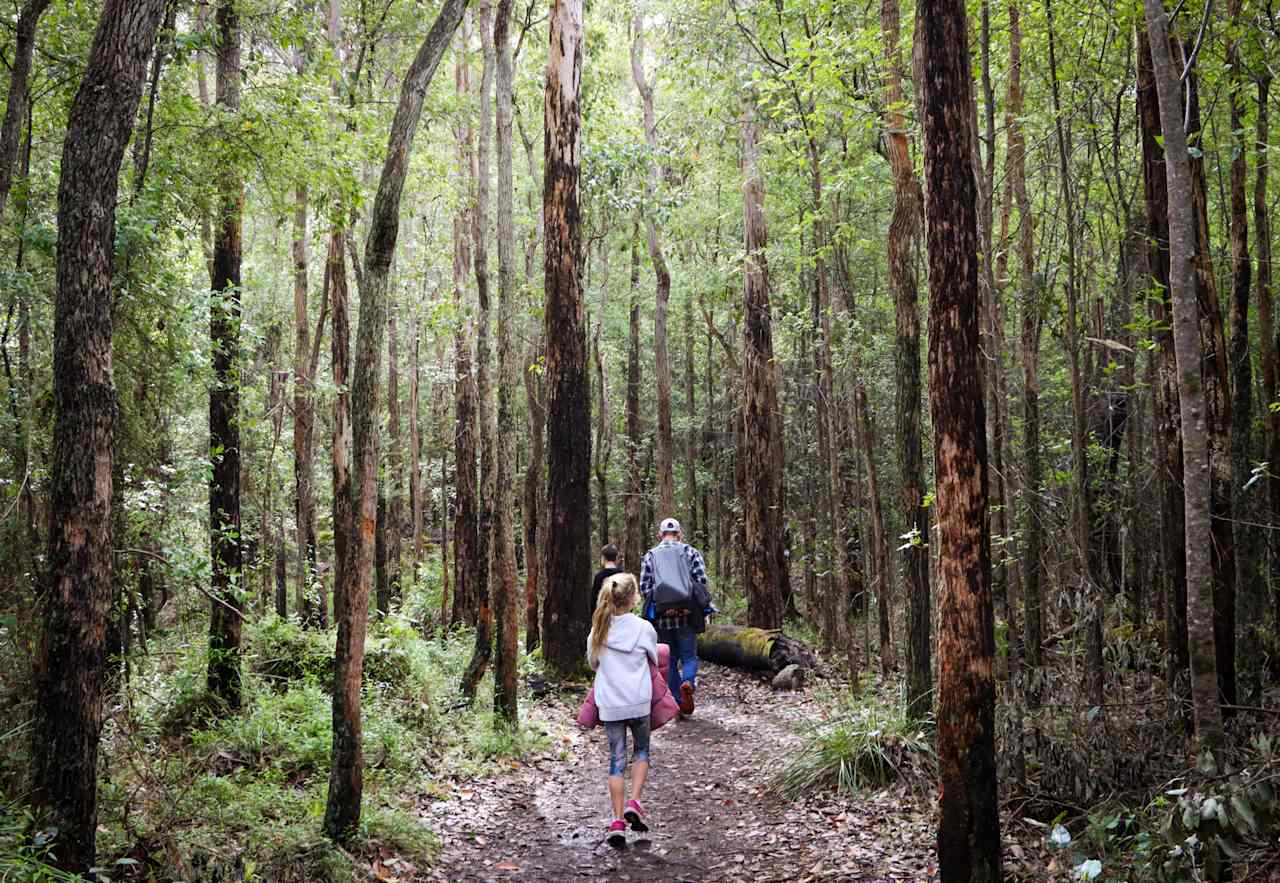 En route to the Granite Skywalk, a 4.7km return hike.