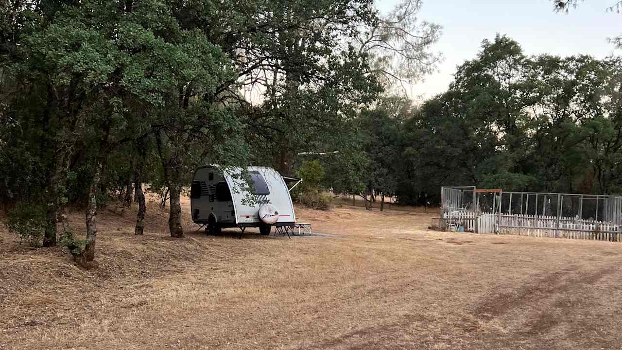 Peaceful Oaks