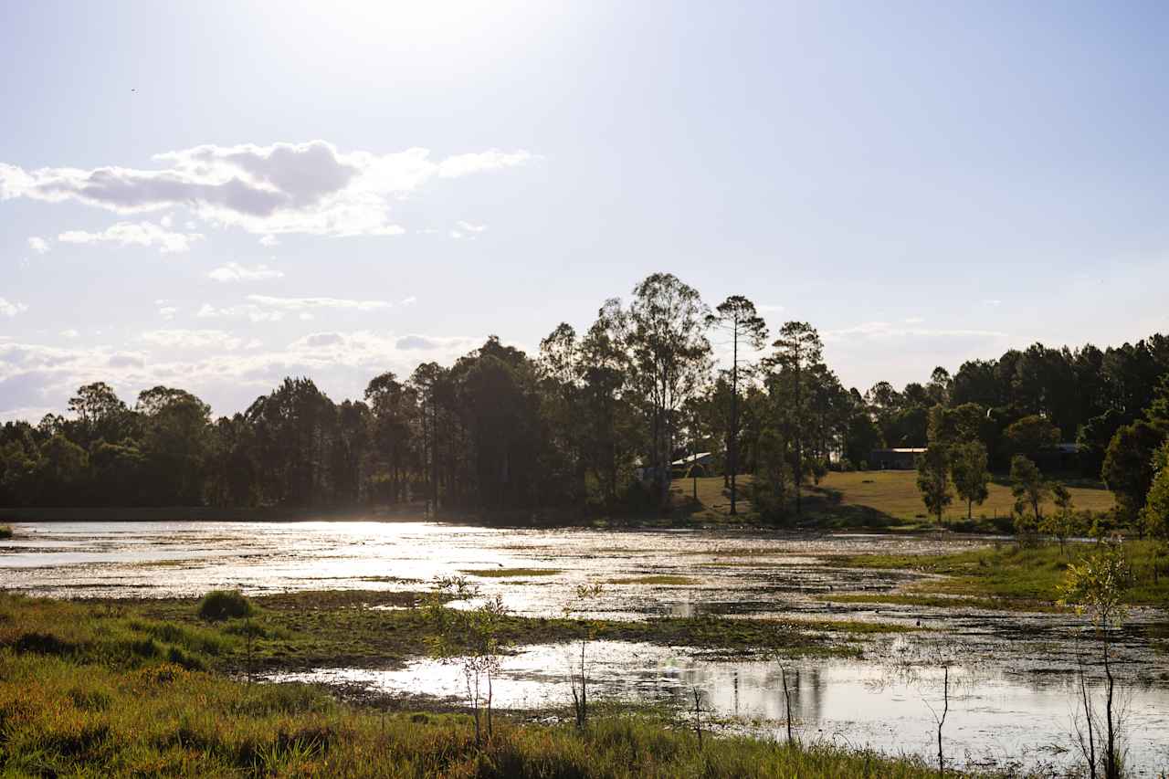 Bushywood at Woodfordskilake