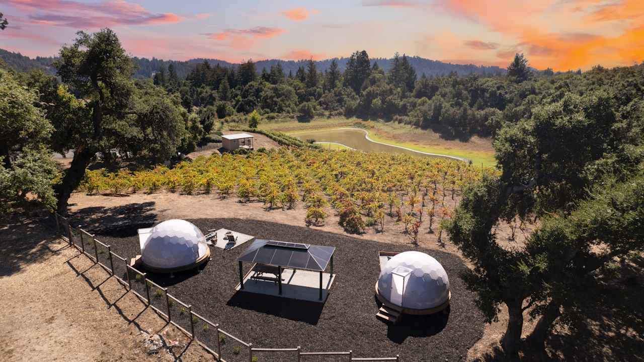 Hilltop Vineyard Dome Glamping