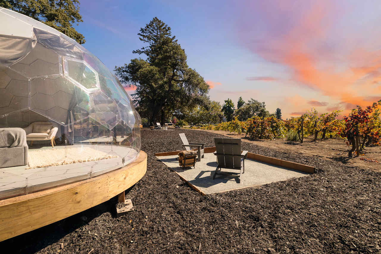 Hilltop Vineyard Dome Glamping