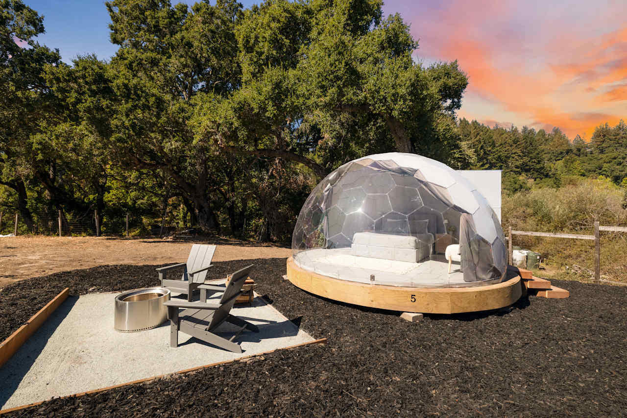 Hilltop Vineyard Dome Glamping