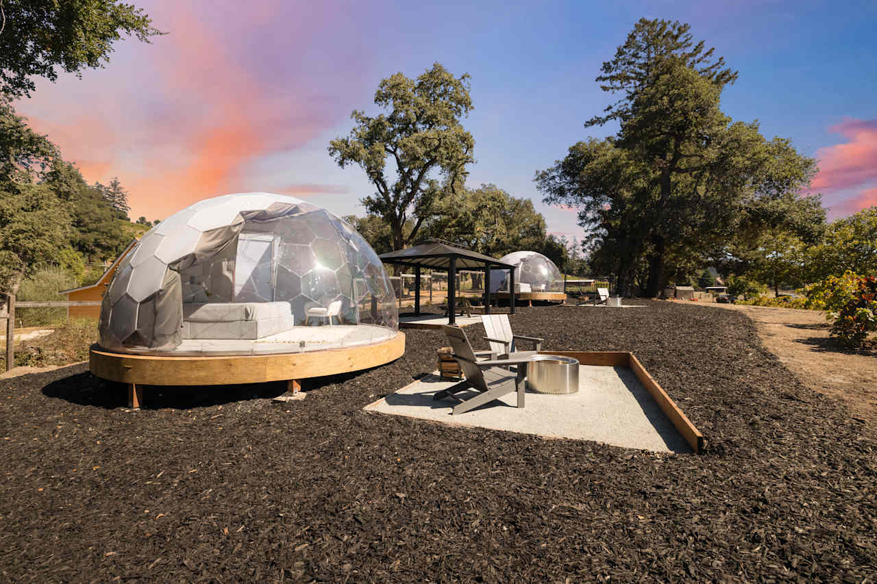 Hilltop Vineyard Dome Glamping